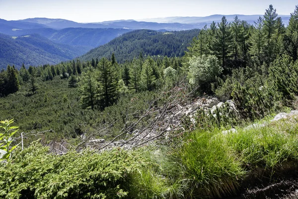 Bulgaristan 'ın Granchar Gölü yakınlarındaki Rila Dağı' nın İnanılmaz Yaz Manzarası