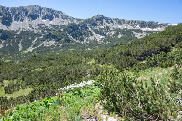 Bulgaristan 'ın Granchar Gölü yakınlarındaki Rila Dağı' nın İnanılmaz Yaz Manzarası