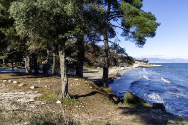 Thassos Adası, Doğu Makedonya ve Trakya 'nın inanılmaz kıyı şeridi, Yunanistan