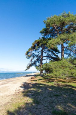 Thassos Adası, Doğu Makedonya ve Trakya 'nın inanılmaz kıyı şeridi, Yunanistan