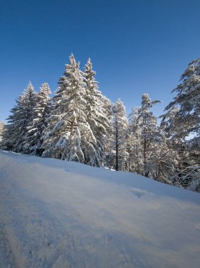 Bulgaristan 'ın Sofya Şehir Bölgesi, Vitosha Dağı' nın İnanılmaz Kış manzarası