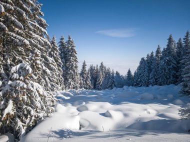 Bulgaristan 'ın Sofya Şehir Bölgesi, Vitosha Dağı' nın İnanılmaz Kış manzarası