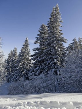 Bulgaristan 'ın Sofya Şehir Bölgesi, Vitosha Dağı' nın İnanılmaz Kış manzarası