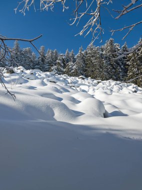 Bulgaristan 'ın Sofya Şehir Bölgesi, Vitosha Dağı' nın İnanılmaz Kış manzarası