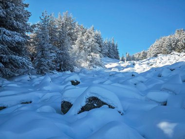 Bulgaristan 'ın Sofya Şehir Bölgesi, Vitosha Dağı' nın İnanılmaz Kış manzarası
