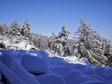 Bulgaristan 'ın Sofya Şehir Bölgesi, Vitosha Dağı' nın İnanılmaz Kış manzarası