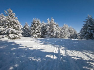 Bulgaristan 'ın Sofya Şehir Bölgesi, Vitosha Dağı' nın İnanılmaz Kış manzarası