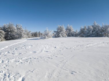Bulgaristan 'ın Sofya Şehir Bölgesi, Vitosha Dağı' nın İnanılmaz Kış manzarası