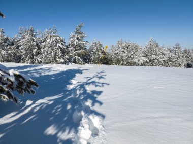 Bulgaristan 'ın Sofya Şehir Bölgesi, Vitosha Dağı' nın İnanılmaz Kış manzarası