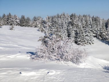 Bulgaristan 'ın Sofya Şehir Bölgesi, Vitosha Dağı' nın İnanılmaz Kış manzarası