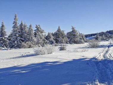 Bulgaristan 'ın Sofya Şehir Bölgesi, Vitosha Dağı' nın İnanılmaz Kış manzarası