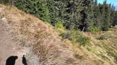 Bulgaristan 'ın Vitosha Dağı' nın şaşırtıcı sonbahar manzarası