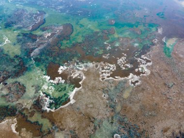 Bulgaristan 'ın başkenti Sofya' daki Pancharevo Gölü 'nün kış manzarası