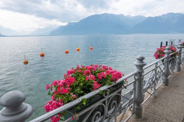 VEVEY, SWitzERLAND - 19 Haziran 2023 Vevey kasabasından Cenevre Gölü, Vaud Kantonu, İsviçre