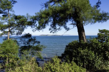 Thassos Adası, Doğu Makedonya ve Trakya 'nın inanılmaz kıyı şeridi, Yunanistan