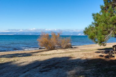 Thassos Adası, Doğu Makedonya ve Trakya 'nın inanılmaz kıyı şeridi, Yunanistan