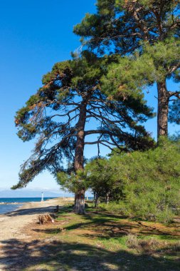 Thassos Adası, Doğu Makedonya ve Trakya 'nın inanılmaz kıyı şeridi, Yunanistan