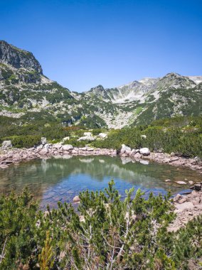 Bulgaristan 'ın Popovo Gölü yakınlarındaki Pirin Dağı' nın İnanılmaz Yaz Manzarası
