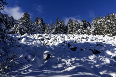 Bulgaristan 'ın Sofya Şehir Bölgesi, Vitosha Dağı' nın İnanılmaz Kış manzarası