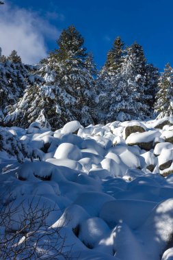 Bulgaristan 'ın Sofya Şehir Bölgesi, Vitosha Dağı' nın İnanılmaz Kış manzarası