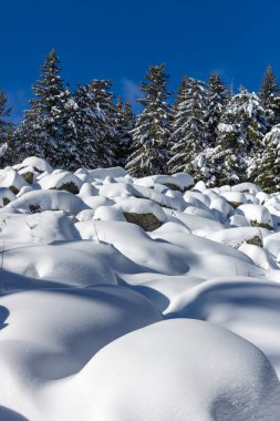 Bulgaristan 'ın Sofya Şehir Bölgesi, Vitosha Dağı' nın İnanılmaz Kış manzarası