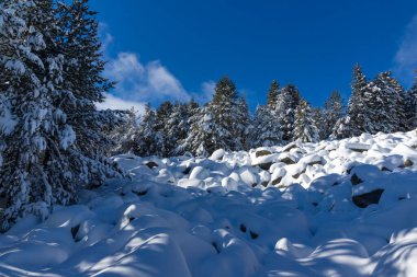 Bulgaristan 'ın Sofya Şehir Bölgesi, Vitosha Dağı' nın İnanılmaz Kış manzarası
