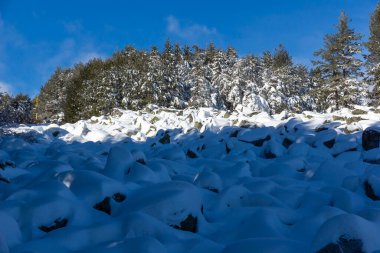 Bulgaristan 'ın Sofya Şehir Bölgesi, Vitosha Dağı' nın İnanılmaz Kış manzarası