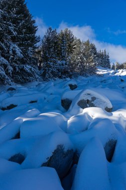 Bulgaristan 'ın Sofya Şehir Bölgesi, Vitosha Dağı' nın İnanılmaz Kış manzarası