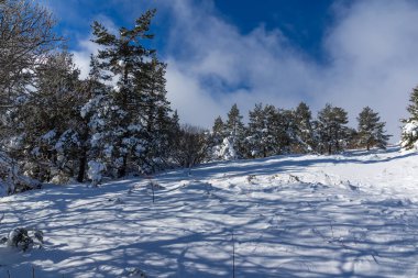 Bulgaristan 'ın Sofya Şehir Bölgesi, Vitosha Dağı' nın İnanılmaz Kış manzarası