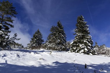 Bulgaristan 'ın Sofya Şehir Bölgesi, Vitosha Dağı' nın İnanılmaz Kış manzarası