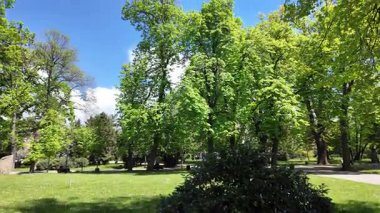 SOFYA, BULGARIA - 25 Nisan 2025: Bulgaristan 'ın Sofya kentinde Borisova Gradina' nın İnanılmaz Baharı (Boris Garden) manzarası