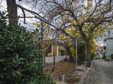 TheOLOGOS, THASOS, GREECE - 27 Aralık 2025: Thassos Adası, Doğu Makedonya ve Trakya, Yunanistan 'da Theologos Köyü Panoraması