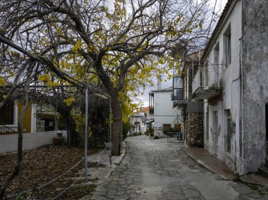 TheOLOGOS, THASOS, GREECE - 27 Aralık 2025: Thassos Adası, Doğu Makedonya ve Trakya, Yunanistan 'da Theologos Köyü Panoraması
