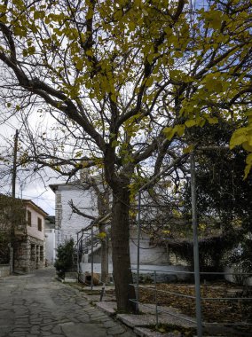 TheOLOGOS, THASOS, GREECE - 27 Aralık 2025: Thassos Adası, Doğu Makedonya ve Trakya, Yunanistan 'da Theologos Köyü Panoraması