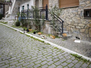 TheOLOGOS, THASOS, GREECE - 27 Aralık 2025: Thassos Adası, Doğu Makedonya ve Trakya, Yunanistan 'da Theologos Köyü Panoraması