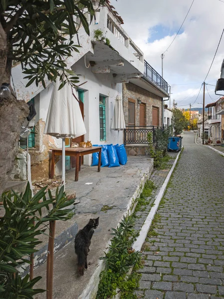 TheOLOGOS, THASOS, GREECE - 27 Aralık 2025: Thassos Adası, Doğu Makedonya ve Trakya, Yunanistan 'da Theologos Köyü Panoraması
