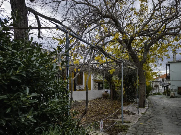 TheOLOGOS, THASOS, GREECE - 27 Aralık 2025: Thassos Adası, Doğu Makedonya ve Trakya, Yunanistan 'da Theologos Köyü Panoraması