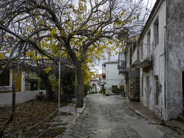 TheOLOGOS, THASOS, GREECE - 27 Aralık 2025: Thassos Adası, Doğu Makedonya ve Trakya, Yunanistan 'da Theologos Köyü Panoraması