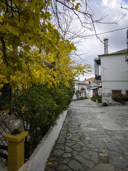 TheOLOGOS, THASOS, GREECE - 27 Aralık 2025: Thassos Adası, Doğu Makedonya ve Trakya, Yunanistan 'da Theologos Köyü Panoraması