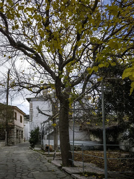 TheOLOGOS, THASOS, GREECE - 27 Aralık 2025: Thassos Adası, Doğu Makedonya ve Trakya, Yunanistan 'da Theologos Köyü Panoraması