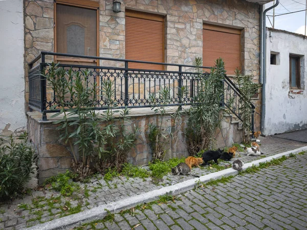 TheOLOGOS, THASOS, GREECE - 27 Aralık 2025: Thassos Adası, Doğu Makedonya ve Trakya, Yunanistan 'da Theologos Köyü Panoraması