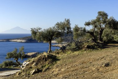 Thassos Adası, Doğu Makedonya ve Trakya 'nın inanılmaz kıyı şeridi, Yunanistan