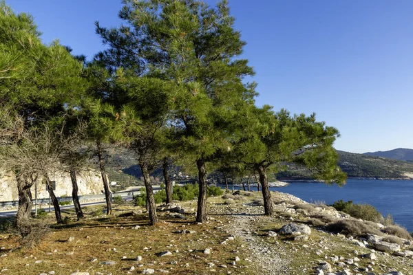 Thassos Adası, Doğu Makedonya ve Trakya 'nın inanılmaz kıyı şeridi, Yunanistan