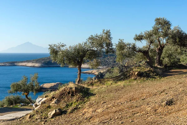 Thassos Adası, Doğu Makedonya ve Trakya 'nın inanılmaz kıyı şeridi, Yunanistan