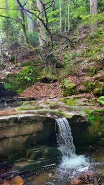 Bulgaristan 'ın Filibe bölgesindeki Rhodopes Dağı' nda Sitovo Şelalesi Panoraması