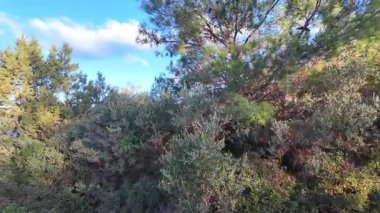 Thassos Adası, Doğu Makedonya ve Trakya 'nın inanılmaz kıyı şeridi, Yunanistan