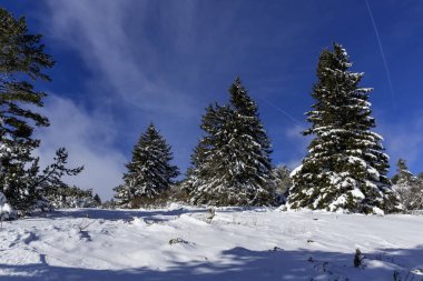 Bulgaristan 'ın Sofya Şehir Bölgesi, Vitosha Dağı' nın İnanılmaz Kış manzarası