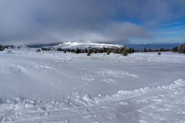 Bulgaristan 'ın Sofya Şehir Bölgesi, Vitosha Dağı' nın İnanılmaz Kış manzarası