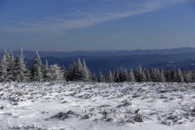 Bulgaristan 'ın Sofya Şehir Bölgesi, Vitosha Dağı' nın İnanılmaz Kış manzarası