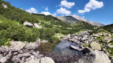 Bulgaristan 'ın Banderitsa Gölü çevresindeki Pirin Dağı' nın şaşırtıcı yaz manzarası